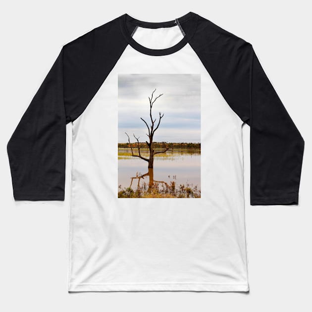 Dead Tree in the River Baseball T-Shirt by jwwallace